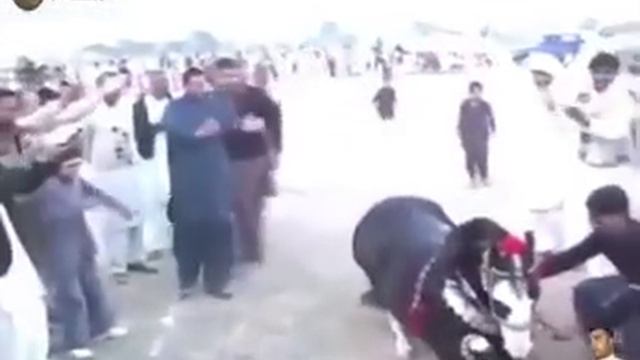 Танцующий лошадь смотреть онлайн