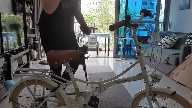 Unbox with me! MyPallas M260 foldable bicycle смотреть онлайн