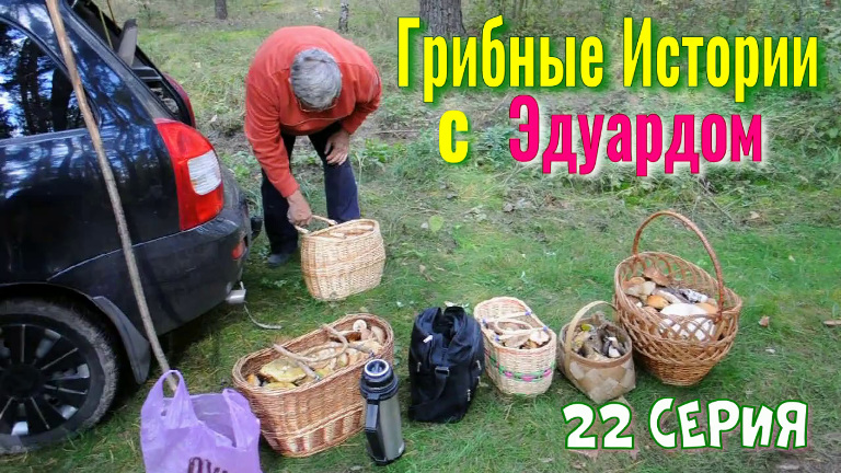 ГРИБНЫЕ Истории с Эдуардом. 22 Серия. Полные Корзинки, за исключением 1 Грибничка... смотреть онлайн