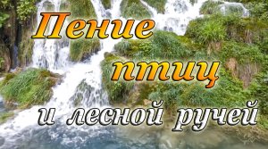 ПЕНИЕ ПТИЦ И ЛЕСНОЙ РУЧЕЙ