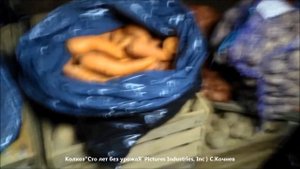 Как хранить морковь зимой..