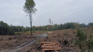 Урал лесовоз | Чёрная полоса, каждый день какие-нибудь проблемки..