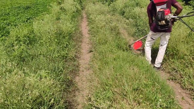 GT Shakti Brush cutter back pack weed cutting machine смотреть онлайн