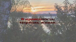 272 Белое платье невесты