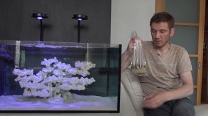Запуск морского аквариума. 2 серия. Первый коралл