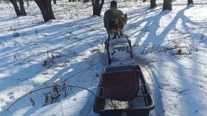 Мотобуксировщик Борбос с гусеницей супер лонг двигатель KP 460 e