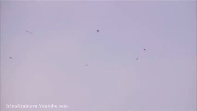 У беды глаза зеленые смотреть онлайн