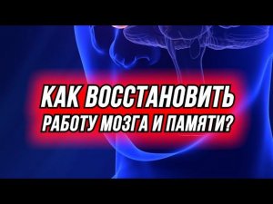 Как восстановить работу мозга и памяти?