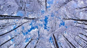 СНЕЖНЫЙ ВАЛЬС…ВЕДЬМИНА ИЗБА ИНГА ХОСРОЕВА.mp4