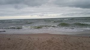 Куршская Коса