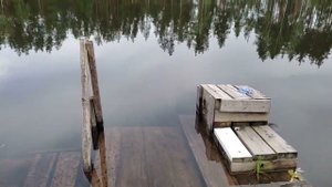Лен.обл. 8.07.23