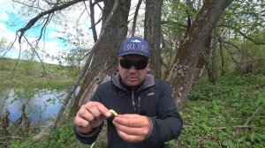 Голавль и жерех на личинки Libra Lures.