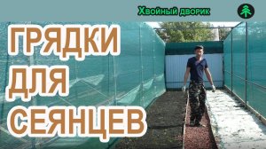 Как построить грядки в теневике для выращивания хвойных растений.