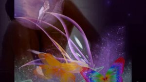 Chris Norman                             For You