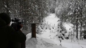 Стрельба на 100 метров арго 308 калибр, сайга 5,45х39# и 9,6-53 ланкастер вепрь