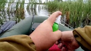 РЫБА ЕСТЬ!#1