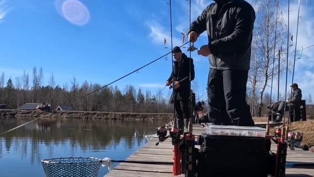 HARD BAITS, STAGE I. Ловля форели. Ловля прудовой форели.
