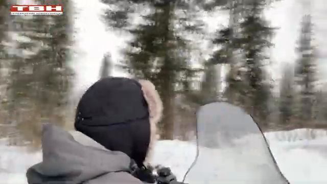 Охотоведы Кузбасса считают зверей. смотреть онлайн