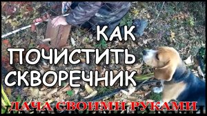 Как почистить скворечник и когда это делать.