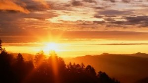 То, чему суждено произойти – произойдёт