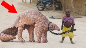 Люди, Которые Случайно Завели Дома Монстров