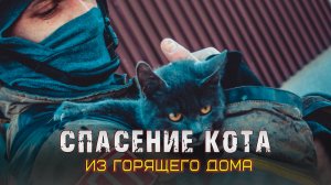 Спасение кота на пожаре