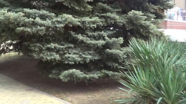 Геленджик Санаторий Голубая волна смотреть онлайн