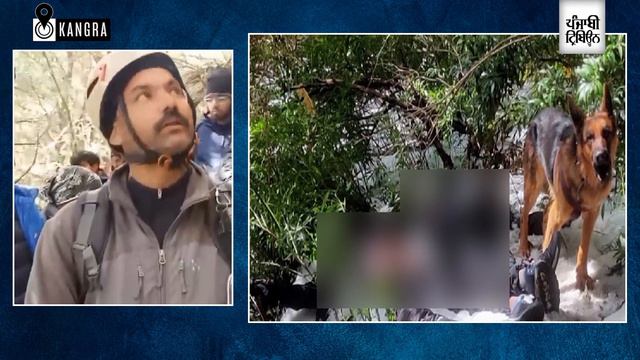 Dog guards owner, his friend bodies for 2 days after they slip to death in snow trekking in Billing смотреть онлайн