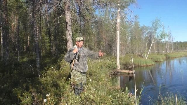 Рыбалка на спиннинг на лесном озере. смотреть онлайн