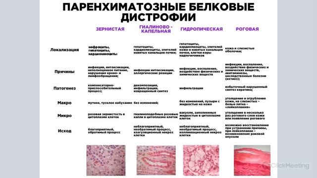 Паренхиматозные дистрофии таблица. Паренхиматозные дистрофии таблица