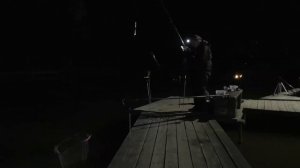 Светящиеся поплавки  Опыт использования