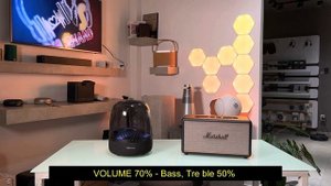 Harman Kardon Aura Studio 4 vs Marshall Stanmore iii chọn loa nào ?