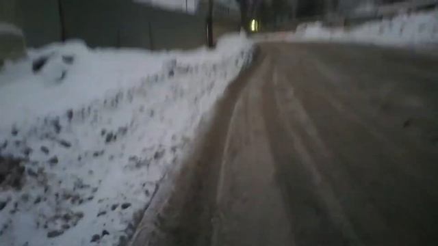 Нападение стаи собак#Wild dog attack# смотреть онлайн