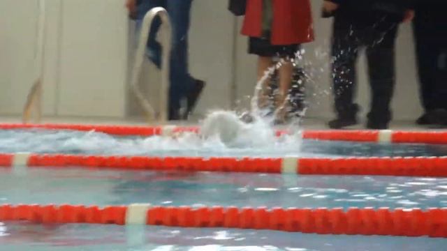 МАЙКОП.СОРЕВНОВАНИЕ ПО ПЛАВАНИЮ,НА ОТКРЫТИЕ БАССЕЙНА АКУАНДА! смотреть онлайн
