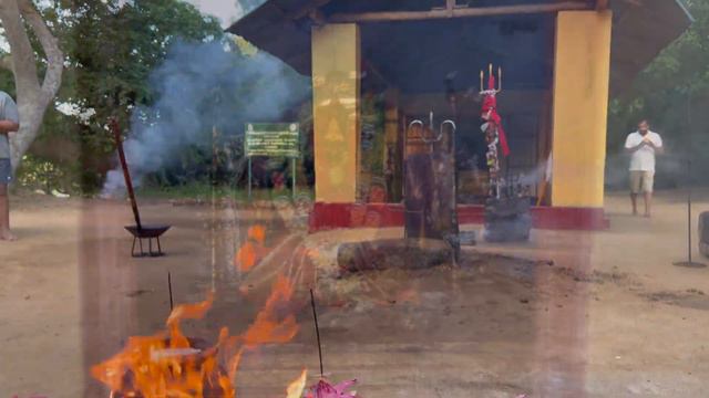 Faith vs. Nature: Kabiliththa, A pilgrimage for Kataragama Deviyo, The guardian deity of Sri Lanka смотреть онлайн