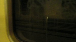 Перегон Новоясеневская - Ясенево