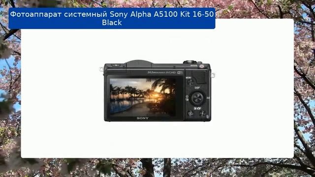 Фотоаппарат Sony Alpha A5100 Kit 16-50 Black обзор смотреть онлайн