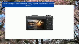 Фотоаппарат Sony Alpha A5100 Kit 16-50 Black обзор