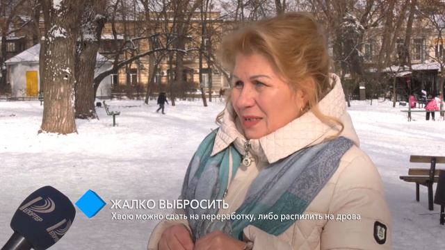 Если жалко выбросить: хвою можно сдать на переработку либо распилить на дрова смотреть онлайн