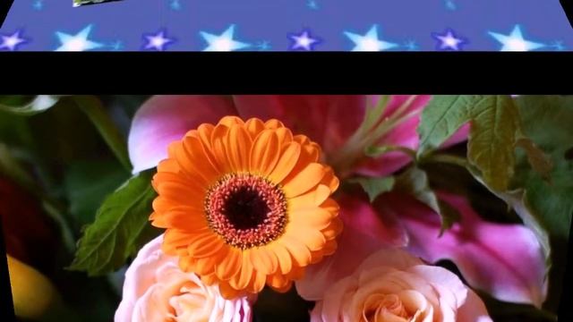 Цветы без повода. смотреть онлайн