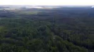 Поиски в Сокольском районе, Смирнова Надежда Ивановна