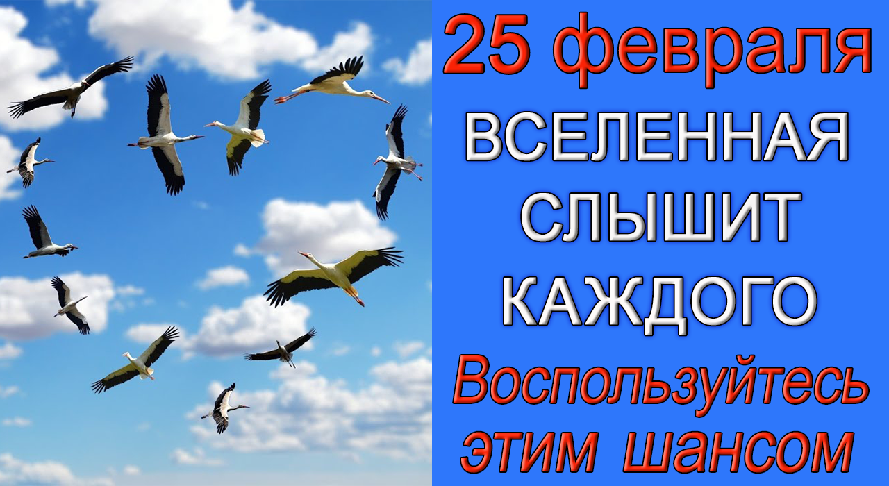 25 февраля ВСЕЛЕННАЯ СЛЫШИТ КАЖДОГО. Воспользуйтесь ЭТИМ ШАНСОМ.