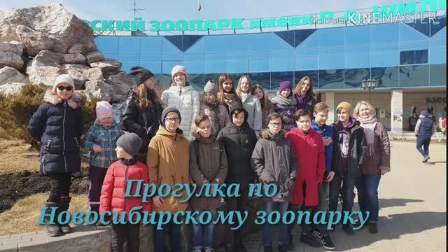 Прогулка по Новосибирскому зоопарку 2019