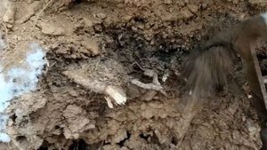 Поиск камней в день геолога 2022