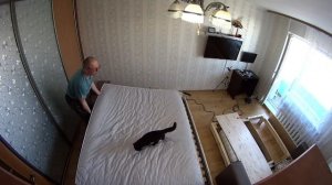 Кровать из мебельного щита своими руками