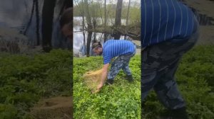 Как забросить кастинговую сеть. Легкий способ для новичков.