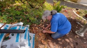 Installing a Drip Irrigation System in a Garden Bed