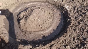 Посадка огурцов. Урожайный метод посадки огурцов.