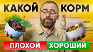 Будете в ШОКЕ! Главные отличия ХОРОШЕГО корма для кошек от ПЛОХОГО?