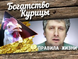 Богатство Курицы: Веган vs. мясоед